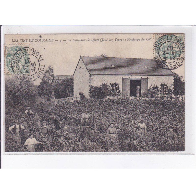 JOUE-lez-TOURS: vendange, la fosse-aux-sangsues - très bon état
