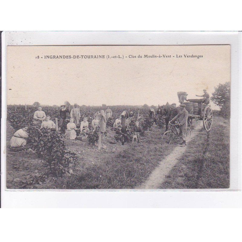 INGRANDES-de-TOURAINE: clos de moulin-à-vent, les vendanges - très bon état