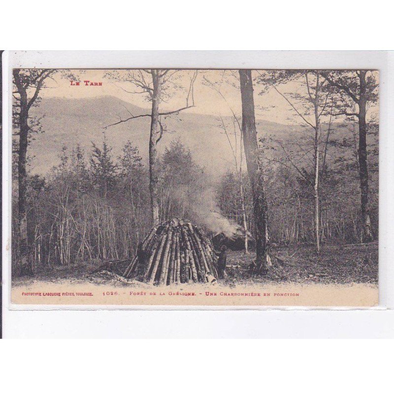 TARN: bois,forêt de la grésigne une charbonnière en fonction - très bon état