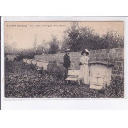 CEZY: ventre détail et demi-gros, rucher delbeau - très bon état