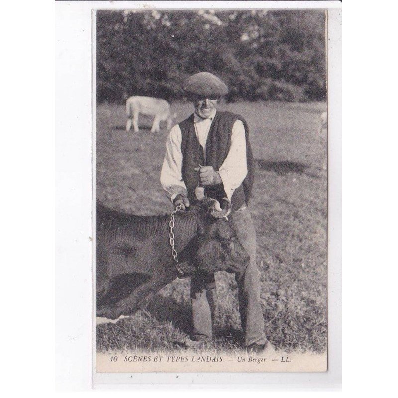 LANDAIS: un berger - très bon état