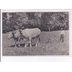 GRIGON : neurdein, (labour, agriculture-école)- très bon état