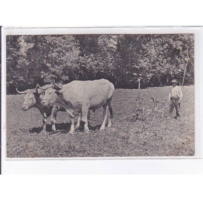 GRIGON : neurdein, (labour, agriculture-école)- très bon état