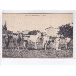 TALUYERS: parc, chevaux, hippisme - très bon état