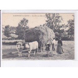 SAINT-HONORE-les-BAINS: les foins en morvan - très bon état