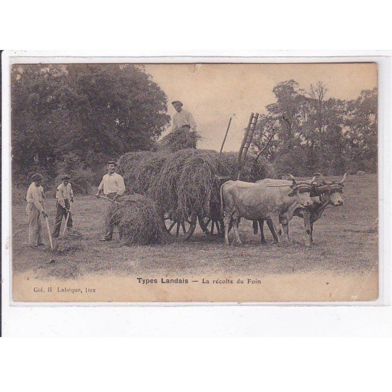 DAX: la récolte du foin - état