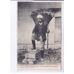 MASSIF DES BAUGE: guide, marchand de fleurs alpestres - très bon état