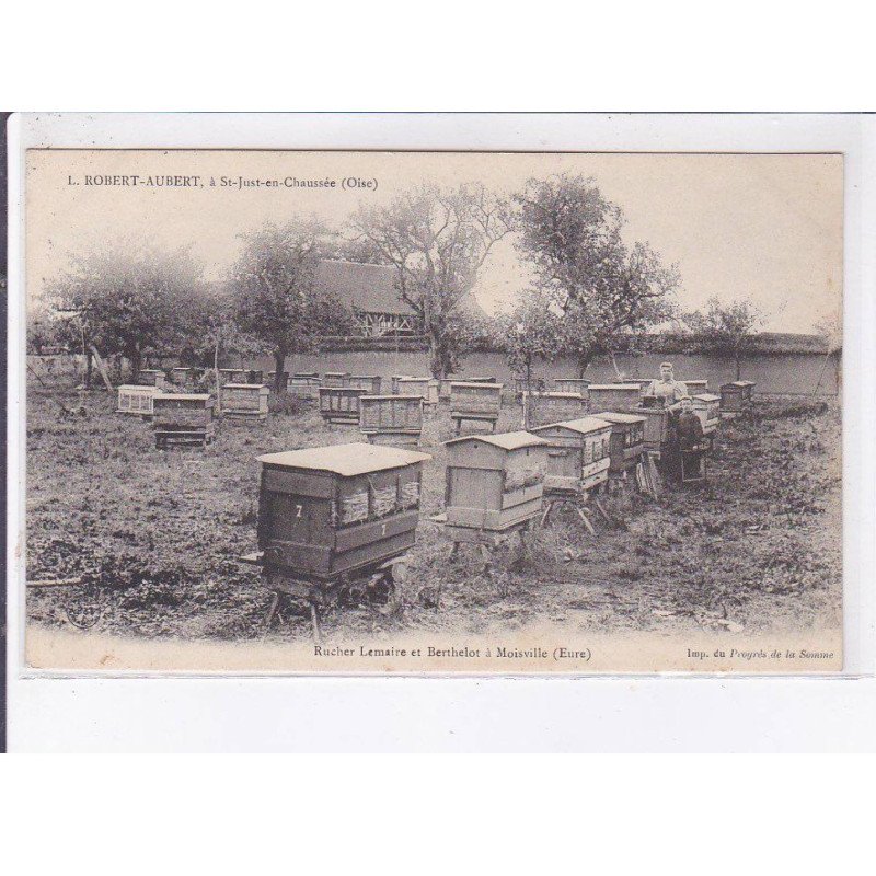 MOISVILLE: rucher Lemaire et Berthelot - très bon état MOISVILLE: rucher Lemaire et Berthelot - très bon état