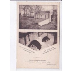 VERGILEY: élevage de renards argentés - très bon état