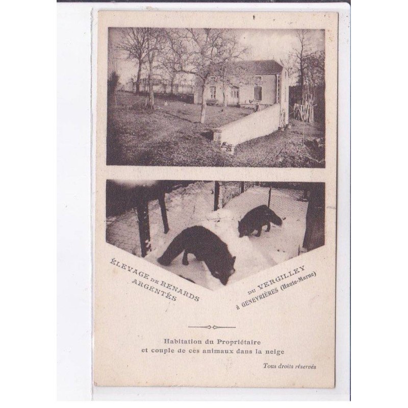 VERGILEY: élevage de renards argentés - très bon état