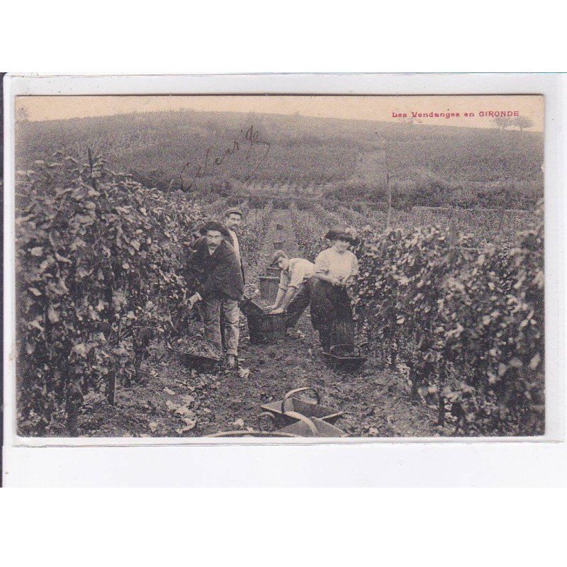 GIRONDE: les vendanges en gironde - très bon état