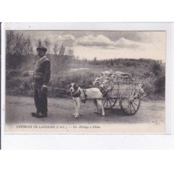 LANGEAIS environ: un attelage à chien - très bon état
