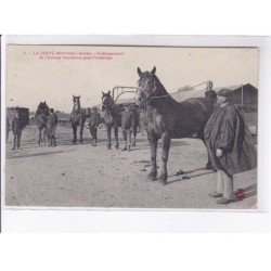 LA FERTE-BERNARD: embarquement de chevaux percherons pour l'amérique - très bon état