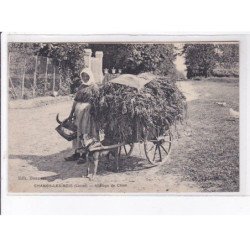 CHANGY-les-BOIS: attelage de chien - très bon état