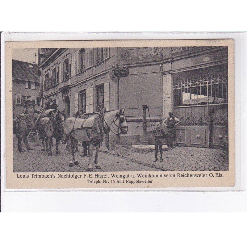 Ribeauvillé (rappoltsweiler): marchands de vins, Louis Trimbach's Nachfolger F.E. Hügel - très bon état