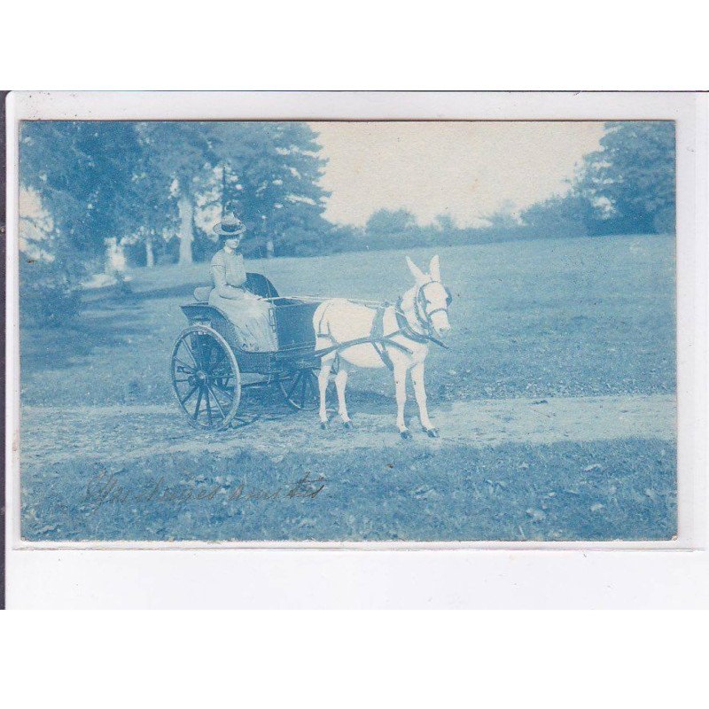 PONTHIERRY environs: attelage, âne - très bon état