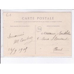 DONNEMARIE-en-MONTOIS: la gare et le tramway - très bon état