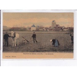 BEAUMONT-du-GATINAIS: vue générale, agriculture, toillée - bon état (leger plis)