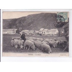CHOOZ: les brebis - très bon état
