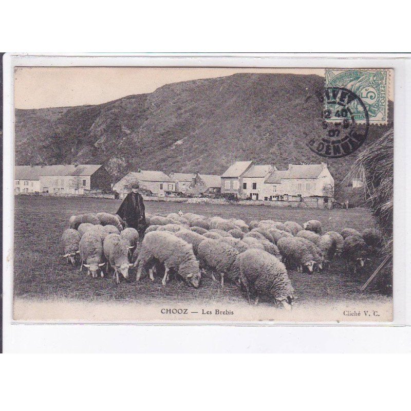 CHOOZ: les brebis - très bon état
