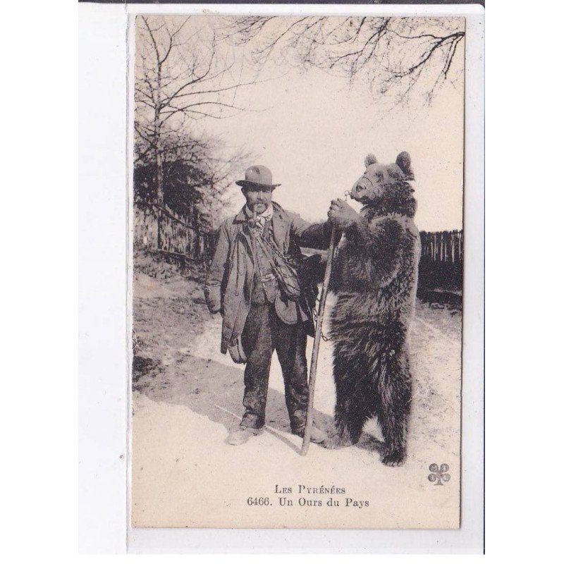 ARIEGE: un ours du pays - très bon état