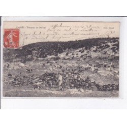 ENSUES: troupeau de chèvres - très bon état