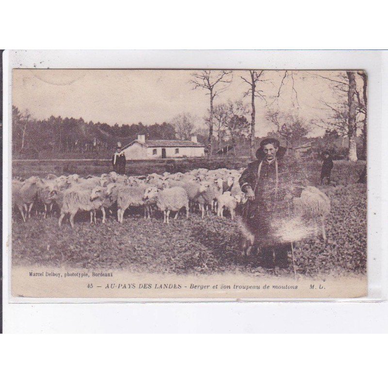 LANDES: berger et son troupeau de moutons - état