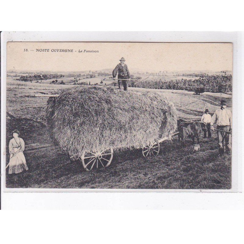 NOSTE OUVERGNE: la fenaison - très bon état