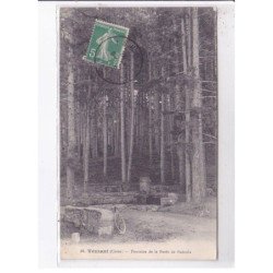 VEZZANI: fontaine de la forêt de padoula - très bon état