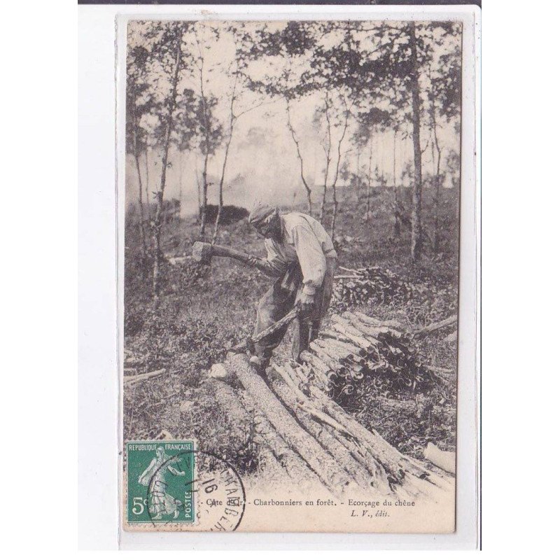 COTE-D'OR: charbonniers en forêt, écorçage du chêne - très bon état