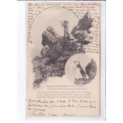 ILE ROUZIC: chasse au caleulo - état