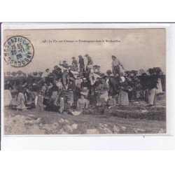 MONTBAZILLAC: la vie aux champs, vendangeurs dans le montbazillac - très bon état