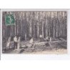 SENONCHES: forêt, pelage de bois - très bon état