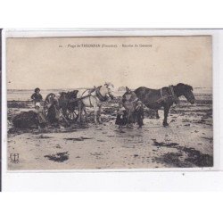 TREOMPAN: récolte du goëmon - état