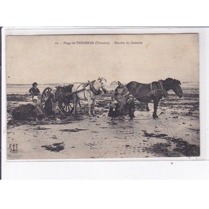 TREOMPAN: récolte du goëmon - état