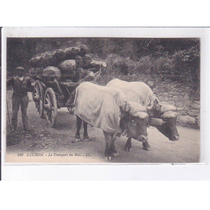 LUCHON: le transport du bois - très bon état