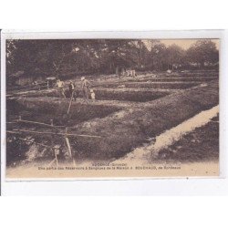 AUDENGE: une partie des réservoirs a  sangsues de la maison A. Bouchaud, de bordeaux - très bon état