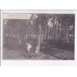 TAUSSAT-les-BAINS: bûcheron dans la forêt de pins - très bon état