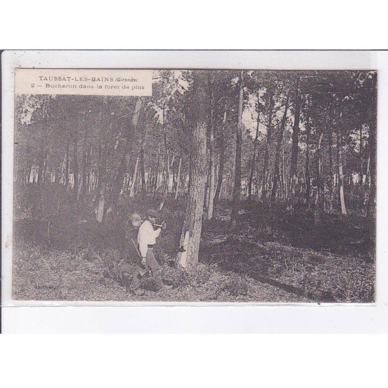 TAUSSAT-les-BAINS: bûcheron dans la forêt de pins - très bon état