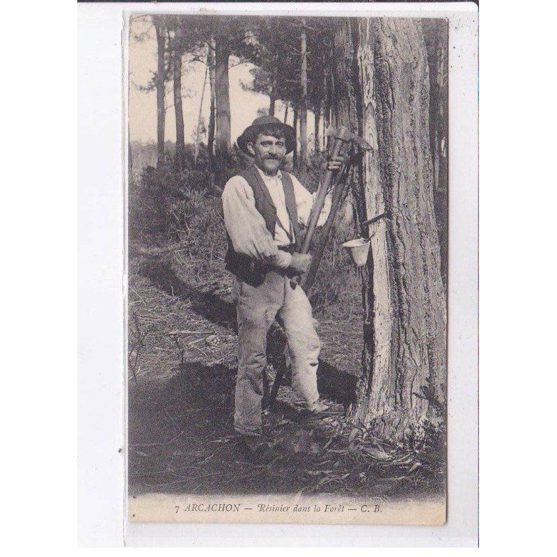 ARCACHON: résinier dans la forêt - état