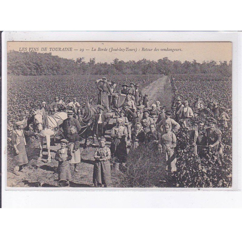JOUE-lez-TOURS: la borde, retour des vendangeurs - très bon état