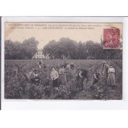 JOUE-les-TOURS: clos de la mazeraie, les vendanges, la cueillette du malvoisie (blanc) - état
