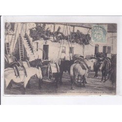 CHATEAU-la-VALLIERE: mulets transportant les bois de la forêt de vaujours - état