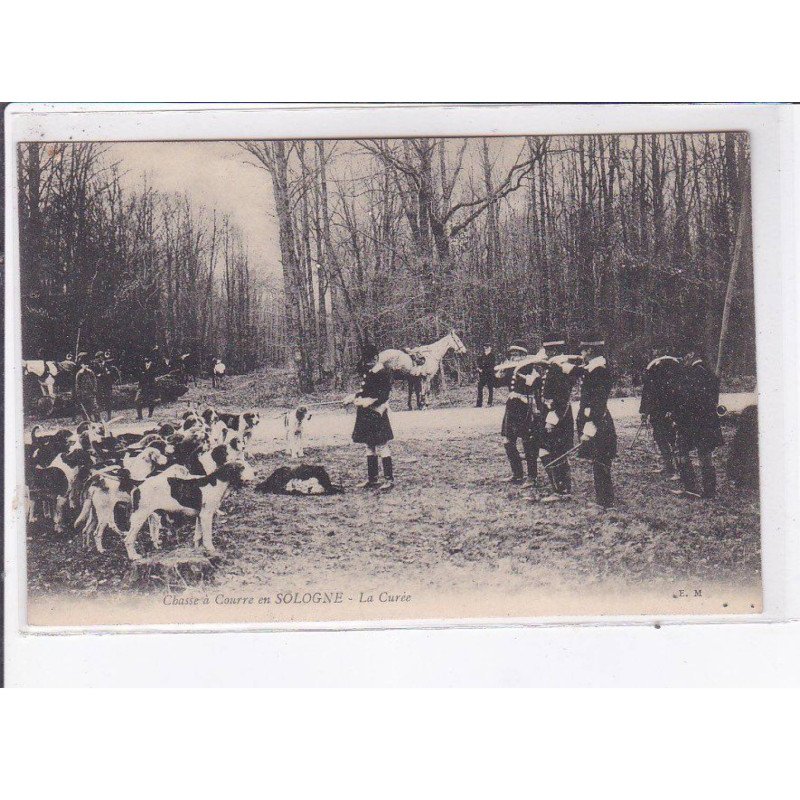 EN SOLOGNE: chasse a  course - très bon état