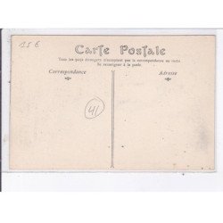 EN SOLOGNE: chasse a  course - très bon état