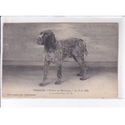 LOIRE: trialer "v'lan de masconil" 21 premiers prix et P.H. - très bon état