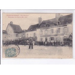 CHATILLON-COLLIGNY: place becquerel, recensement des chevaux mai 1905 - très bon état