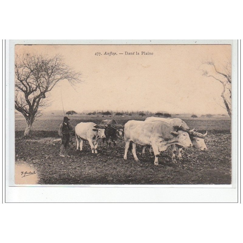 AUFFAY - Dans la plaine - très bon état