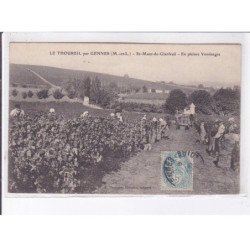 LE THOUREIL: saint-maur-de-glanfeuil, en pleine vendanges - très bon état