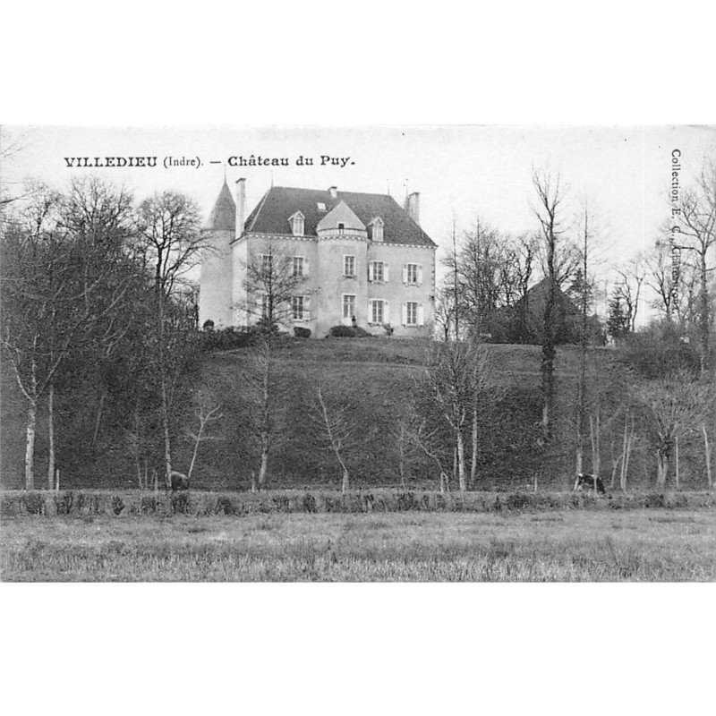 VILLEDIEU - Château du Puy - très bon état
